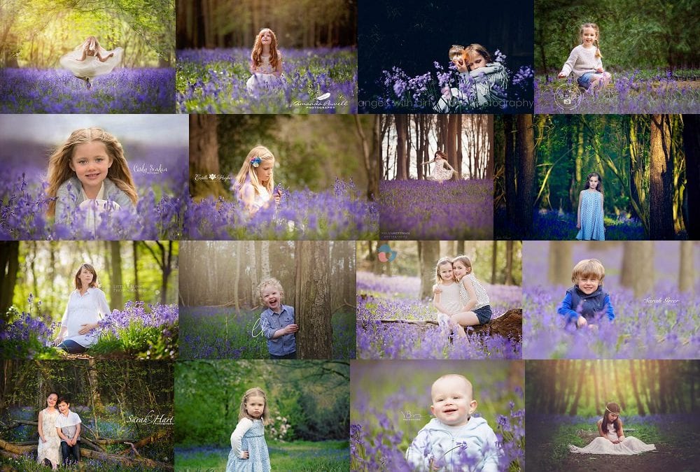 Bluebell photography tips, hints and inspiration