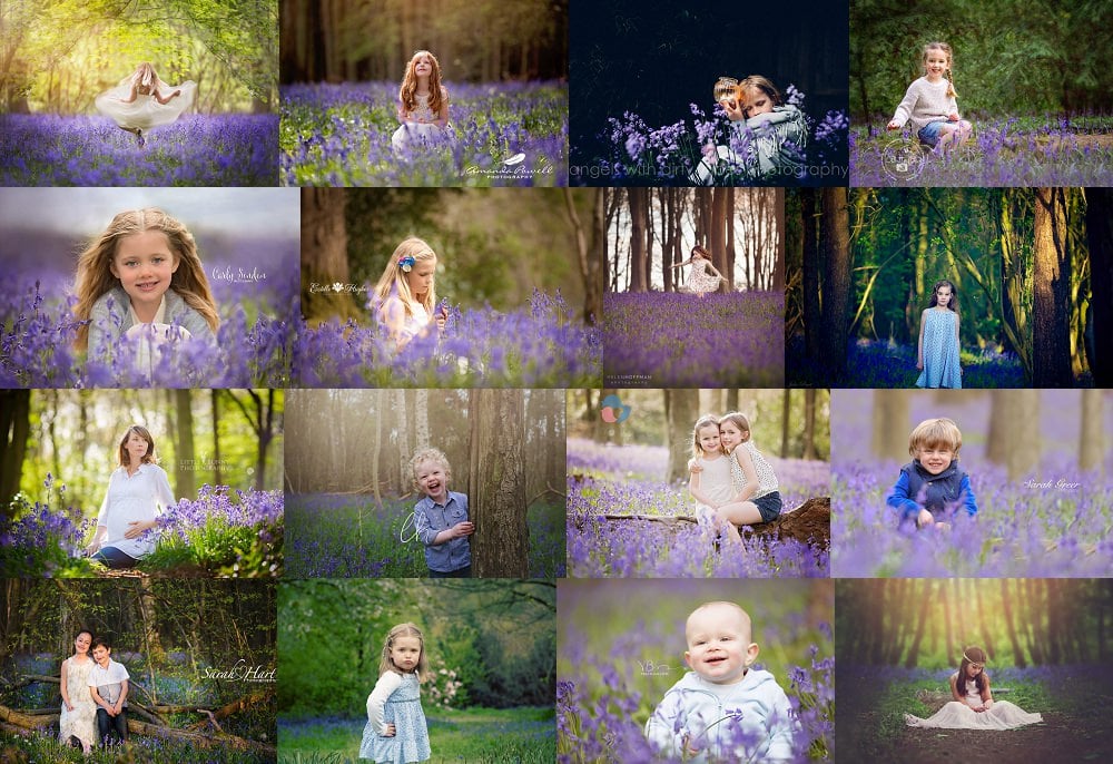 Bluebell photography tips, hints and inspiration