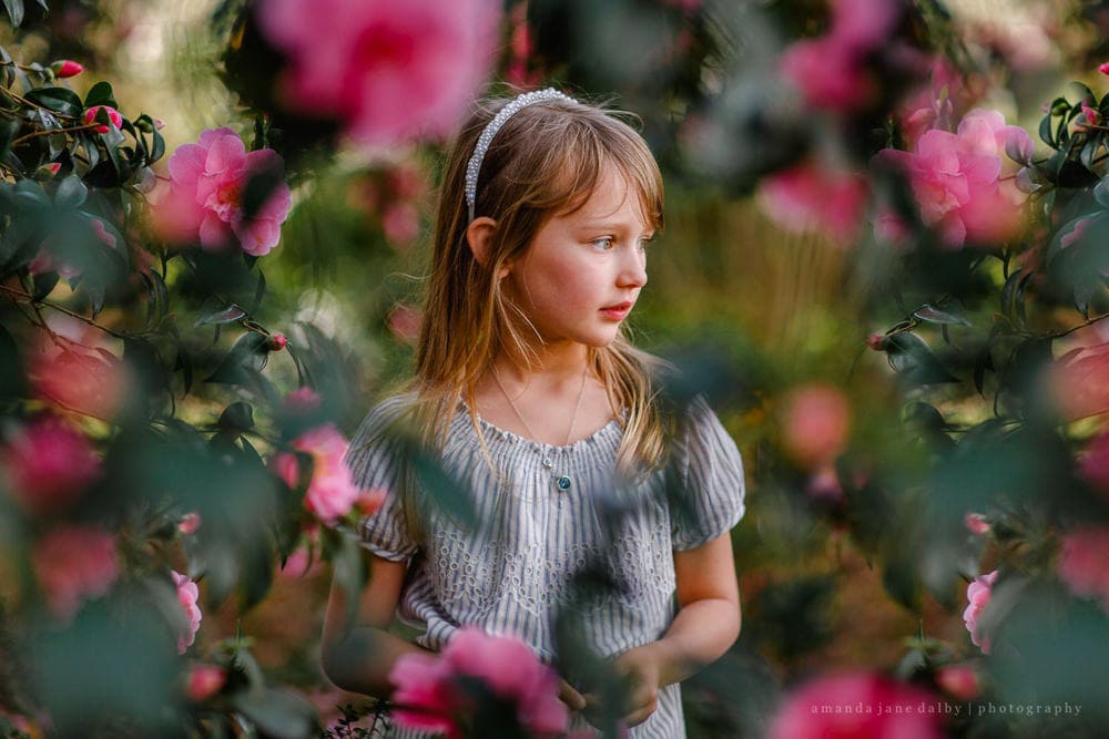 Amanda Dalby Photography