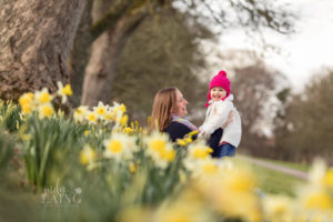 photography in the daffodils