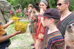 Elephant Jungle Sanctuary Chaing Mai