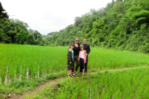 At the families rice field