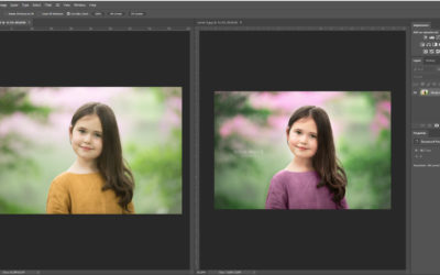 Photography editing tips: Colour replacement tool in Photoshop