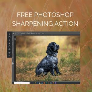 FREE Photoshop Sharpening Action