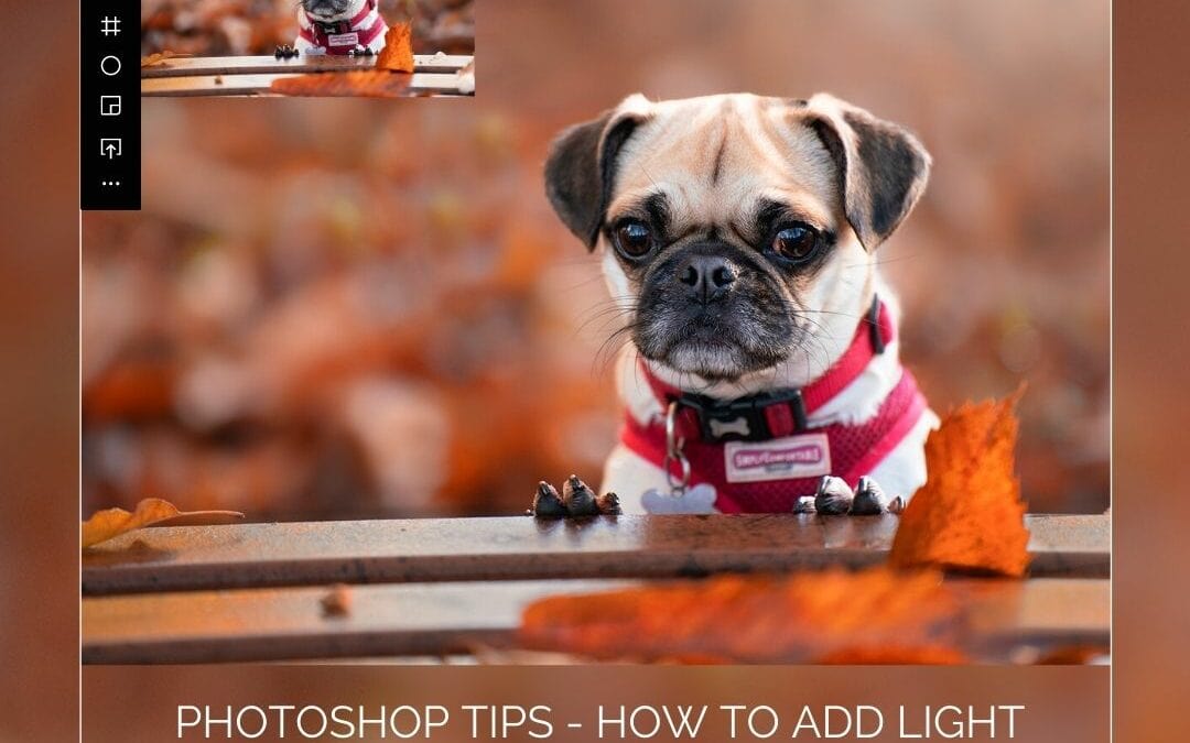 Photography Tips: Using gradients in Photoshop to add light