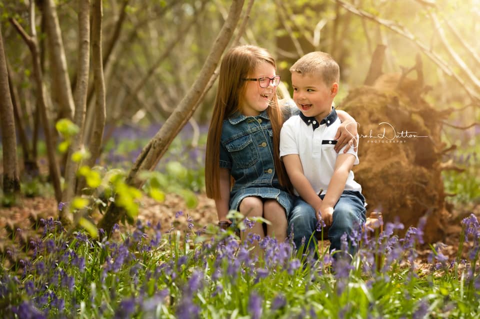 examples of bluebell photography 