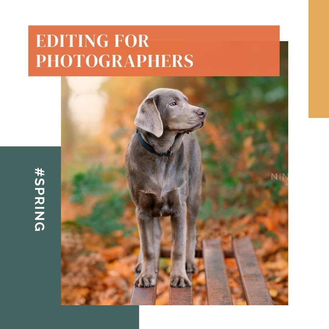 photoshop training for family photographers