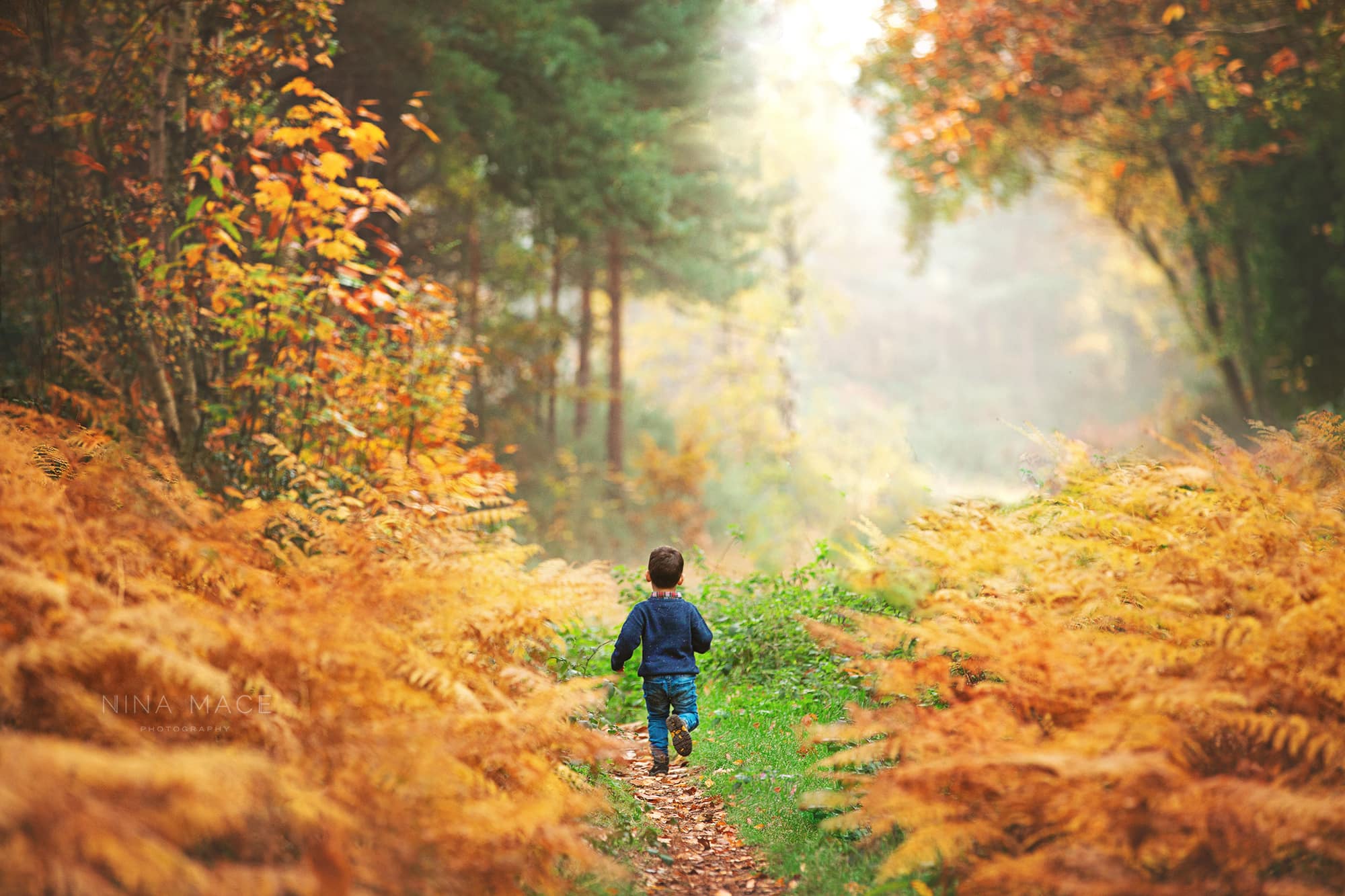Photography pricing bluebell photography