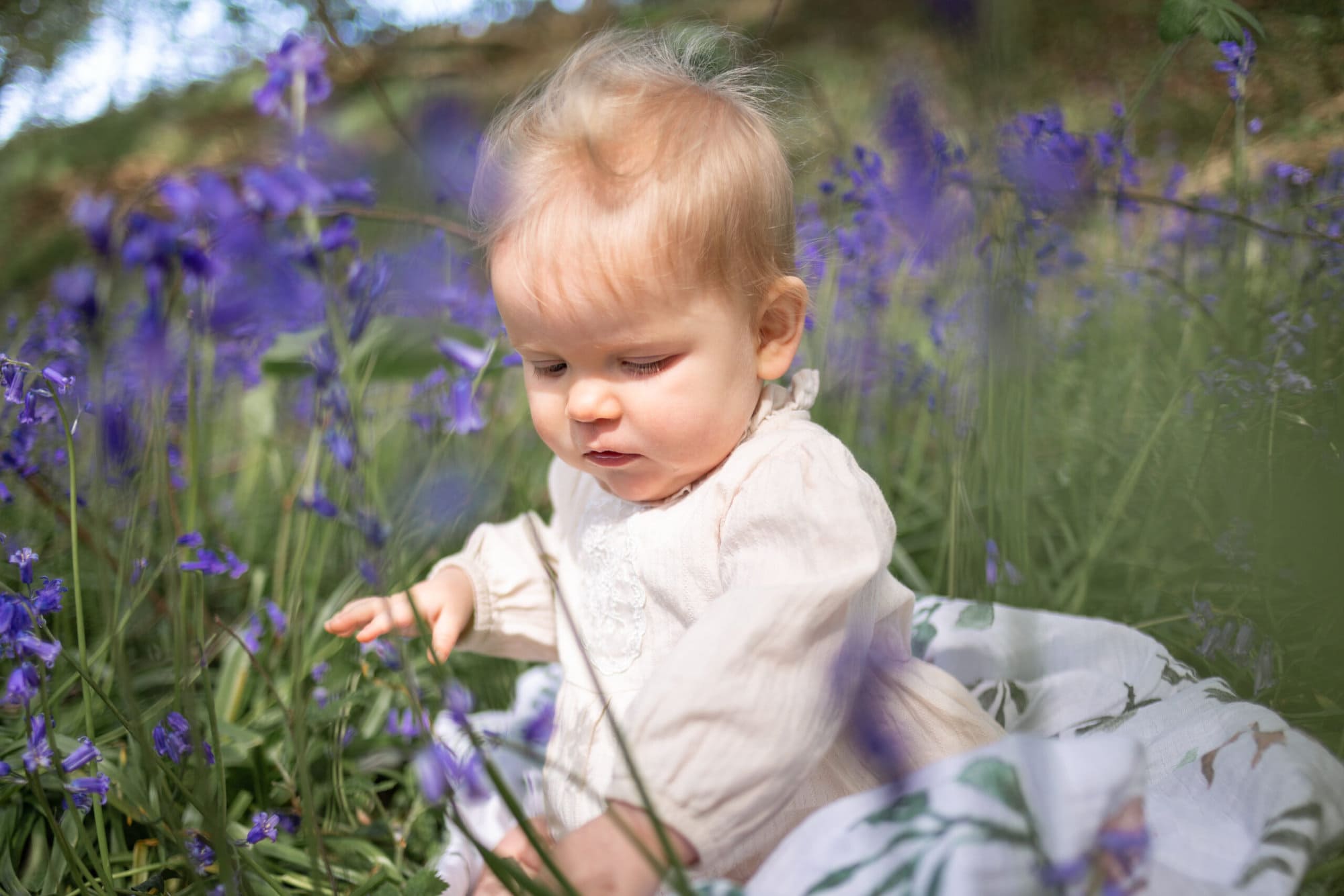 baby photographed in the bluebells 