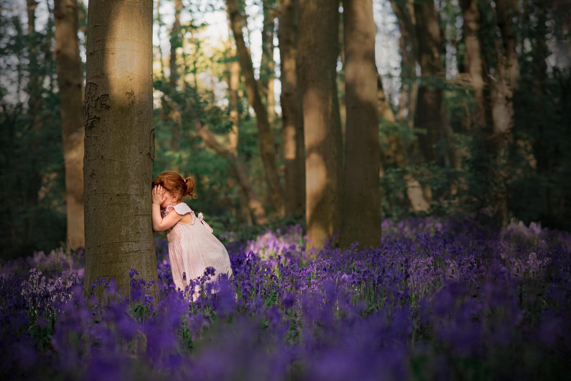 little girl in the bluebell woods 